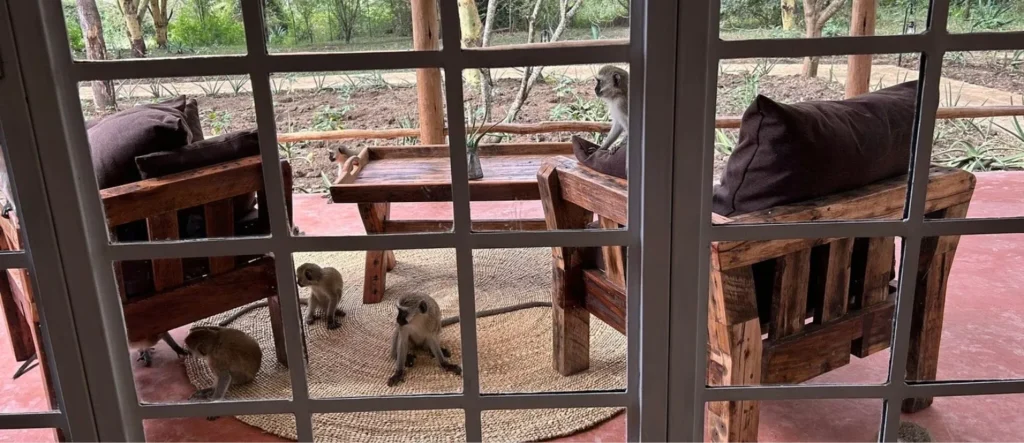 Olerai Lodge Wildlife