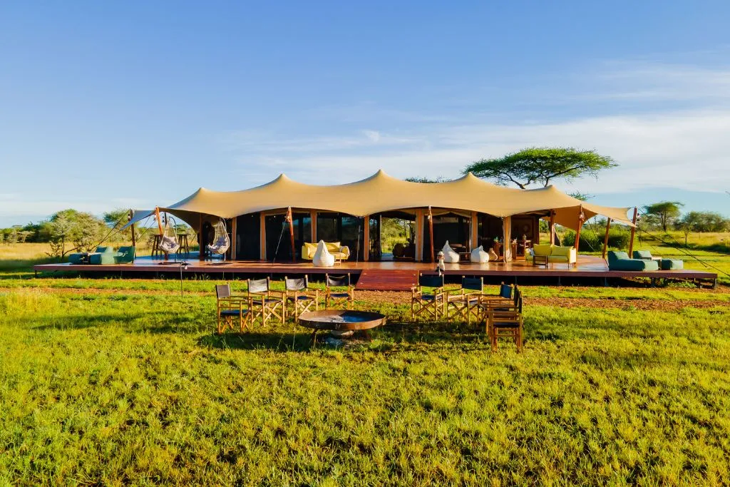 Serengeti's Northern Kogatende