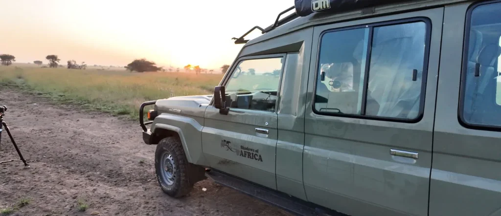 sunrise game drive serengeti