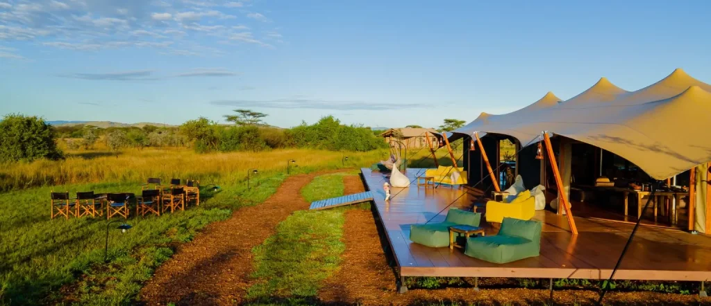 serengeti sunrise safari