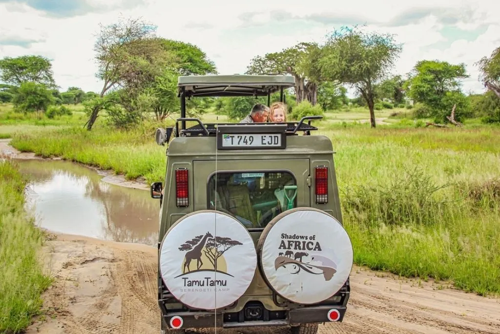 Best Time to Visit the Serengeti